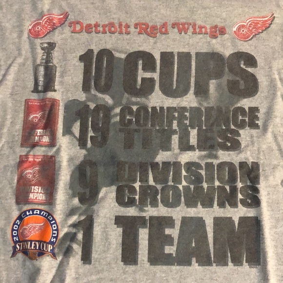 Detroit Red Wings Large Grey Championships T-Shirt - Picture 2 of 8